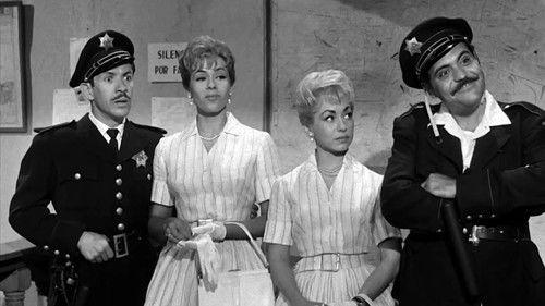 Pegando con tubo filmas žiurėti online