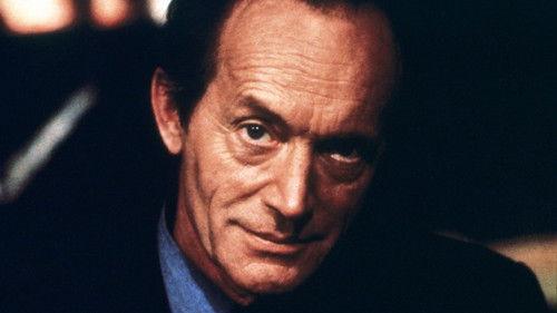 No Contest II filmas žiurėti online