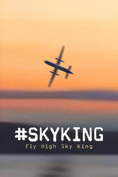 #SKYKING filmas online