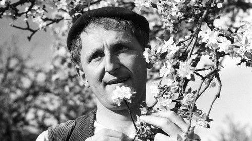 Le Rosier de madame Husson filmas žiurėti online