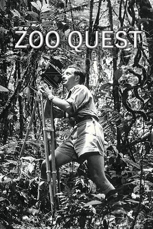 Zoo Quest filmas online