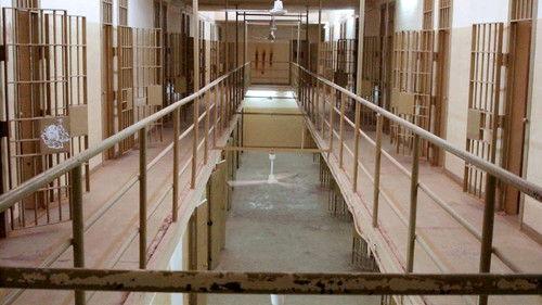 Ghosts of Abu Ghraib filmas žiurėti online