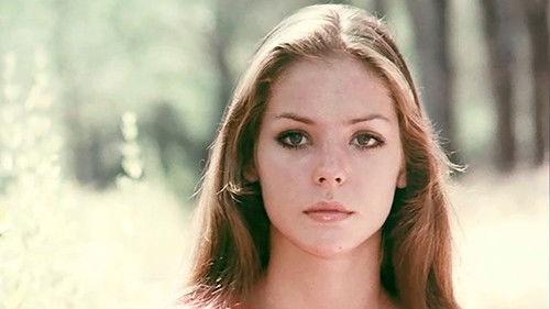 Raped On The Beach filmas žiurėti online