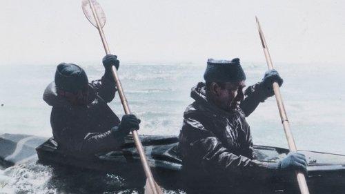 The Cockleshell Heroes filmas žiurėti online