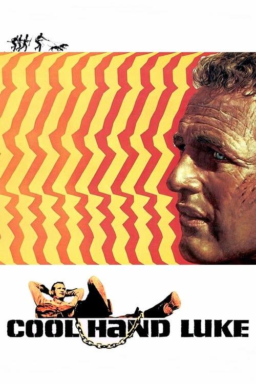 Cool Hand Luke filmas online