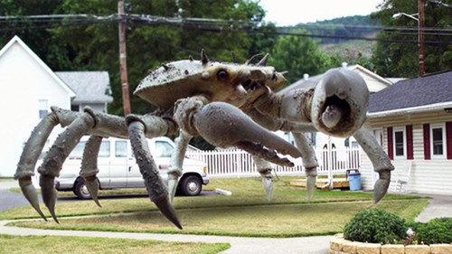 Queen Crab filmas žiurėti online
