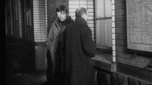 322 filmas žiurėti online