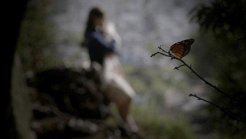 Mariposa filmas žiurėti online