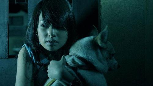 The Child's Eye filmas žiurėti online