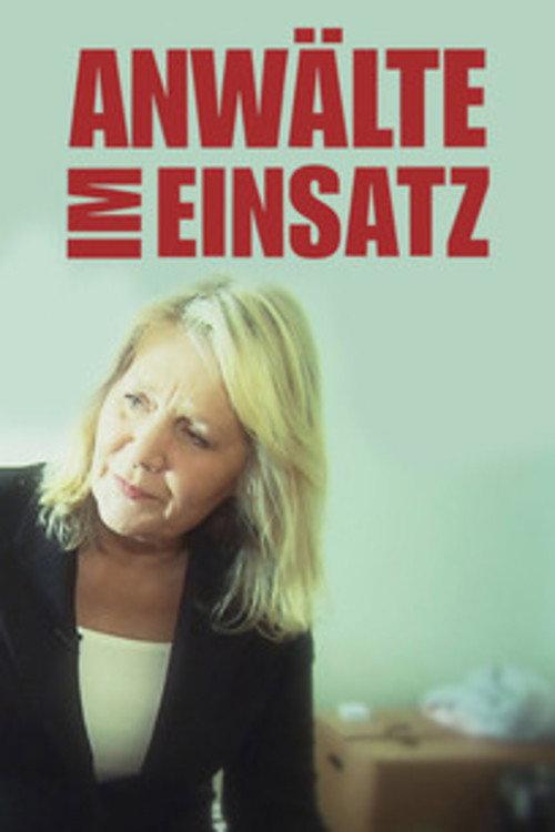 Anwälte im Einsatz filmas online