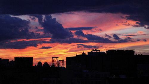 Plato's Reality Machine filmas žiurėti online