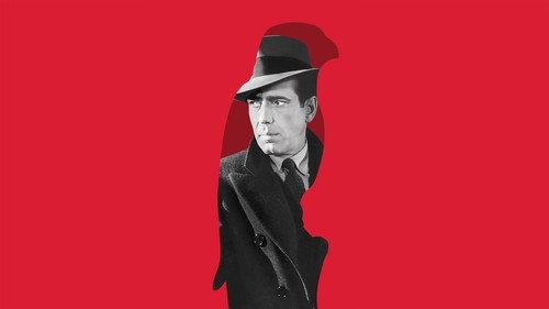 Maltos sakalas filmas žiurėti online