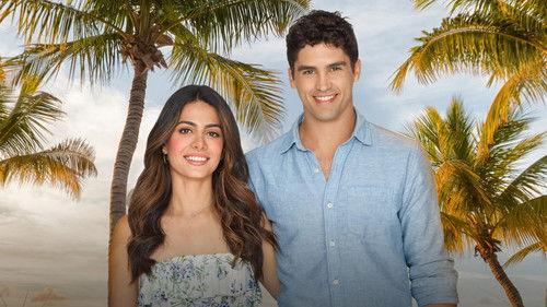 Love in the Sun filmas žiurėti online