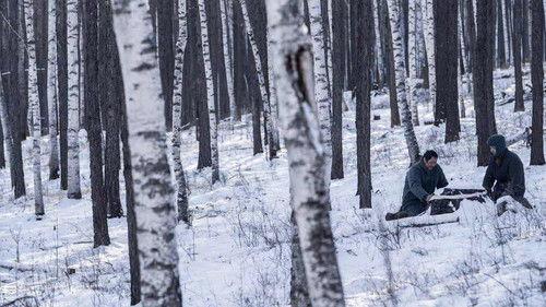 Anima filmas žiurėti online