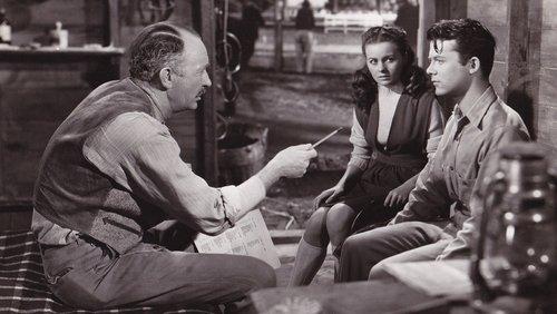 Home in Indiana filmas žiurėti online