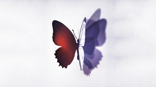 Complete Unknown filmas žiurėti online