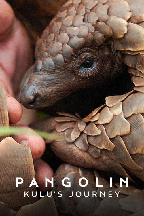 Pangolin: Kulu's Journey filmas online