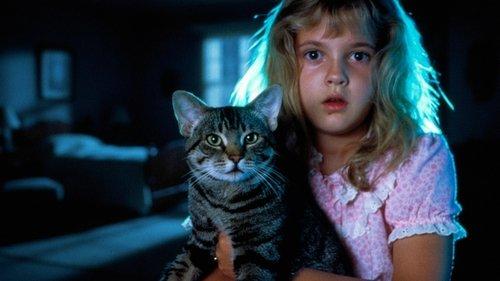Cat's Eye filmas žiurėti online