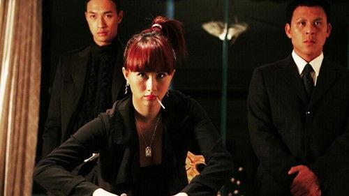 My Wife Is a Gambling Maestro filmas žiurėti online