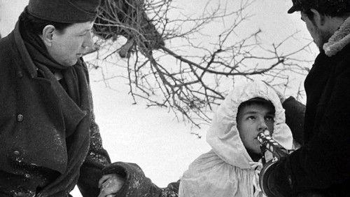 Zvony pre bosých filmas žiurėti online