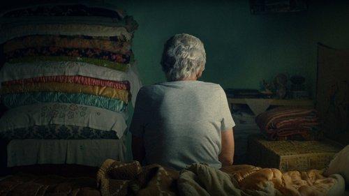 Cici filmas žiurėti online