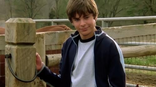 The Derby Stallion filmas žiurėti online