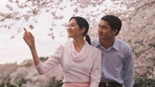 Behind the Painting filmas žiurėti online