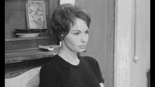 The Season for Love filmas žiurėti online