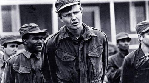 The Revolutionary filmas žiurėti online