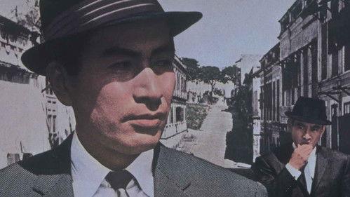 An Outlaw filmas žiurėti online