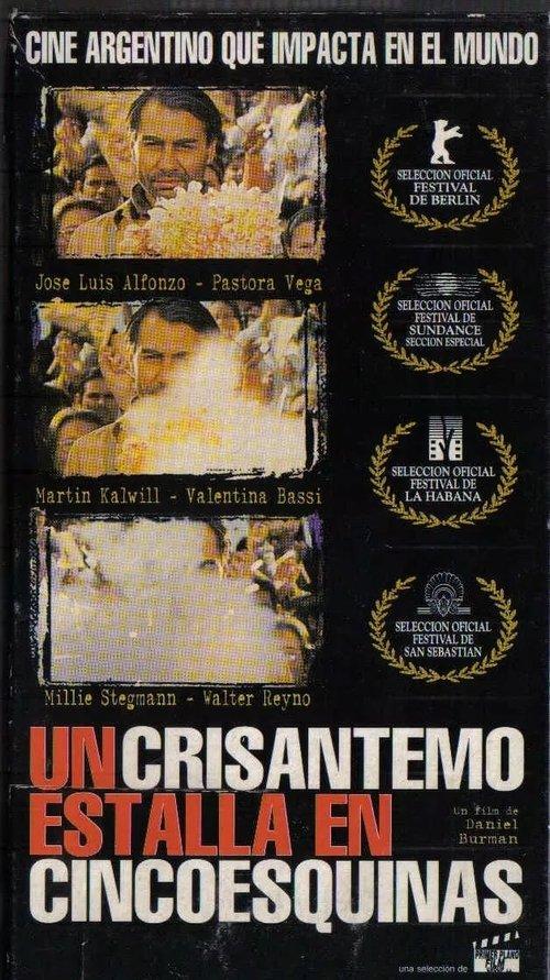 A Crysanthemum Bursts in Cincoesquinas filmas online