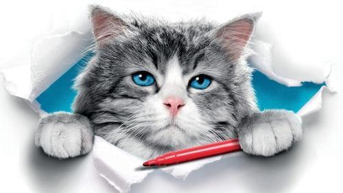 Devyni gyvenimai filmas žiurėti online