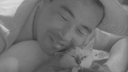 Shozo, a Cat and Two Women filmas žiurėti online