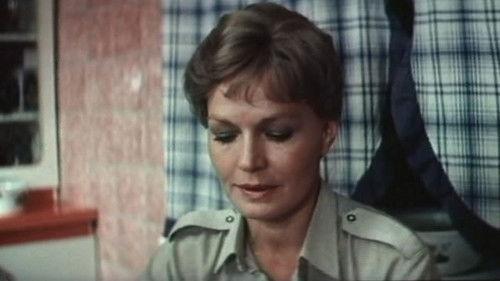 The Mercedes Man File filmas žiurėti online