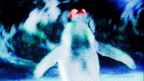 Notre musique filmas žiurėti online