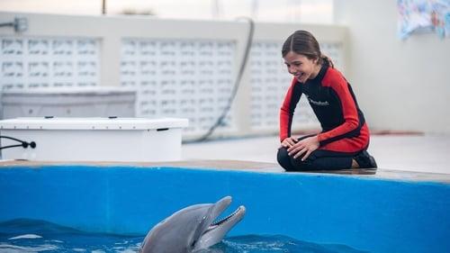 Bernie the Dolphin 2 filmas žiurėti online