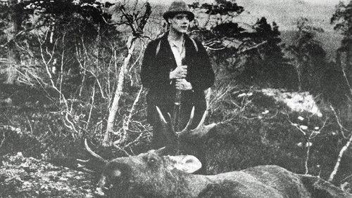 Troll-Elgen filmas žiurėti online