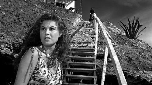 Fedra filmas žiurėti online