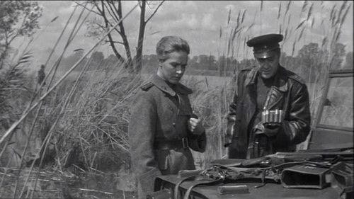 Spring on the Oder filmas žiurėti online