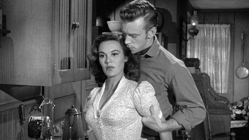 Stranger at My Door filmas žiurėti online