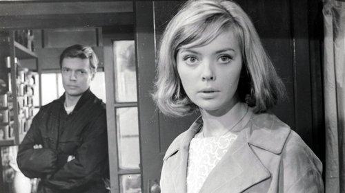 Rififi in Tokyo filmas žiurėti online