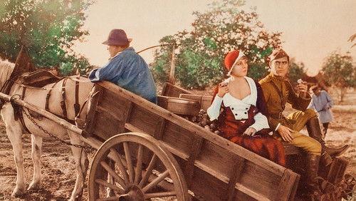 Cock of the Air filmas žiurėti online