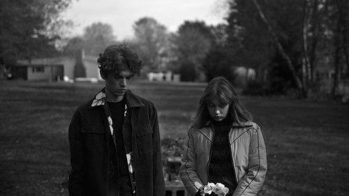 Hippo filmas žiurėti online