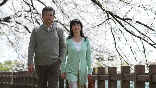 RAILWAYS 愛を伝えられない大人たちへ filmas žiurėti online