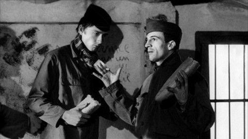 The Army Game filmas žiurėti online