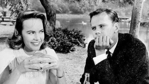 Bernardine filmas žiurėti online