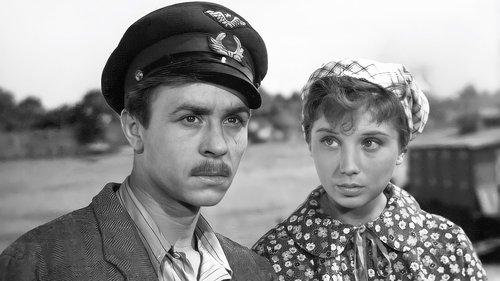 The City Turns the Lights On filmas žiurėti online