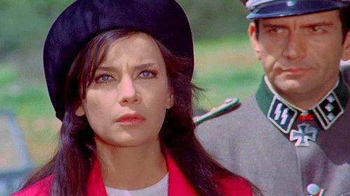 A Woman in the Resistance filmas žiurėti online