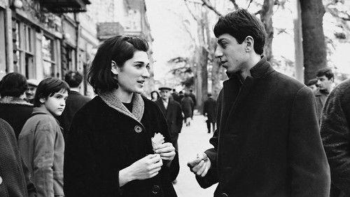 Falling Leaves filmas žiurėti online