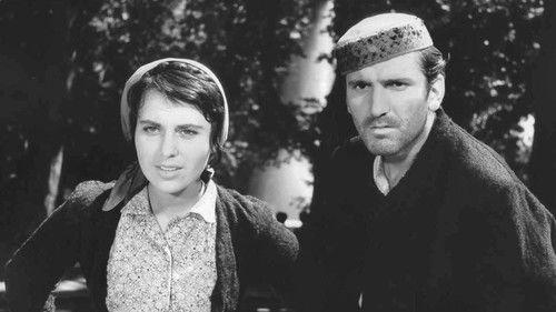 Train without a Timetable filmas žiurėti online